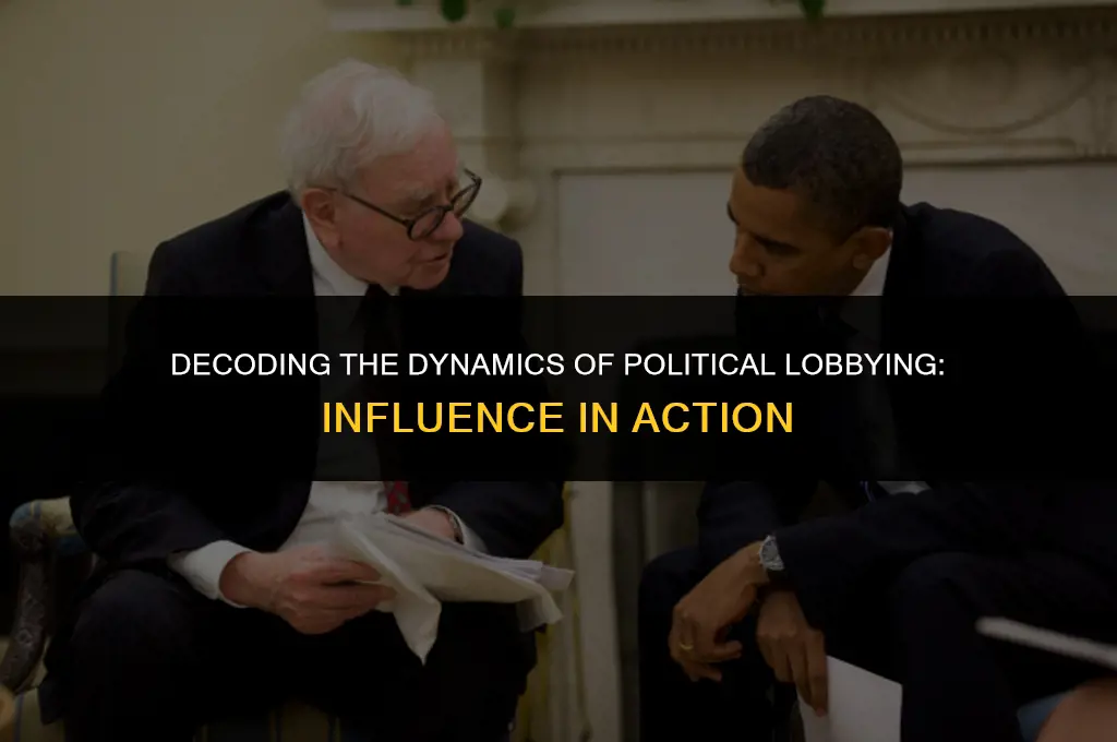 what describes a political lobby