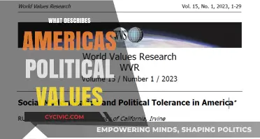 Exploring the Core: What Defines America's Political Values?