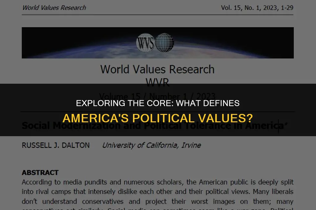 what describes americas political values