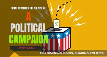Campaigns: Political Strategies for Power and Influence