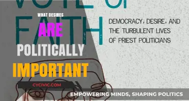 Navigating Political Priorities: Understanding Desires that Shape Policy