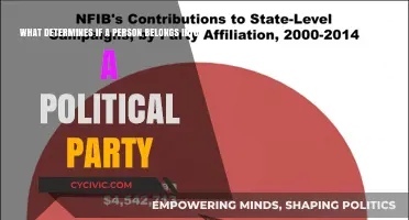 Factors Shaping Political Party Affiliation: Identity, Beliefs, and Influences