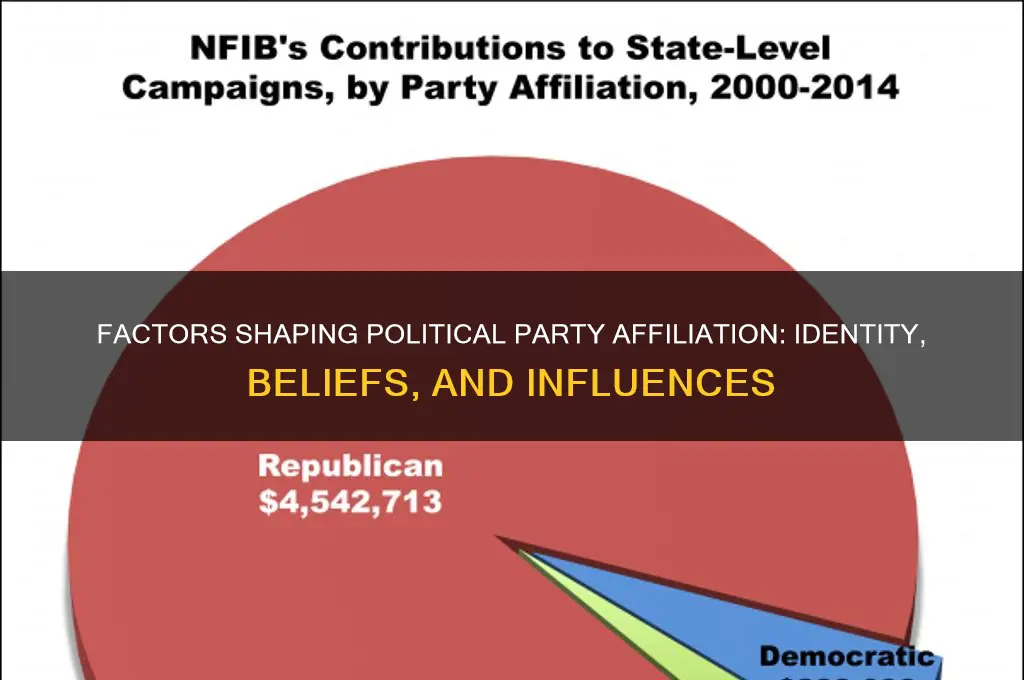what determines if a person belongs into a political party