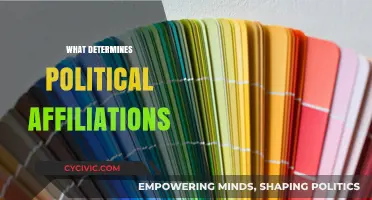 Unraveling the Complex Web: What Shapes Our Political Affiliations?