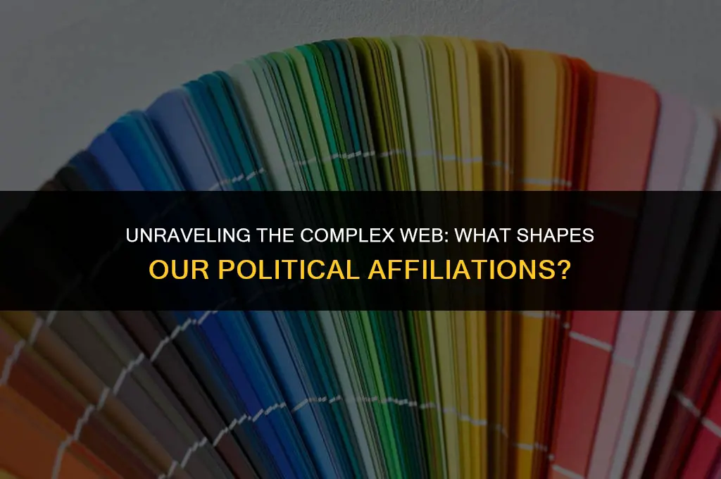what determines political affiliations