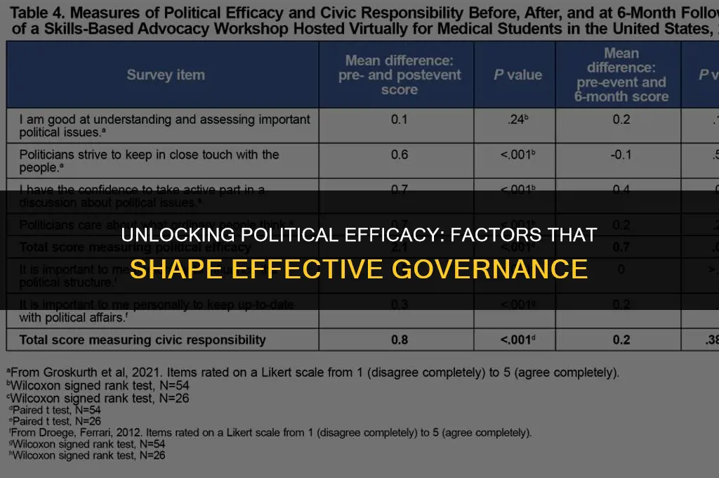 what determines political efficacy