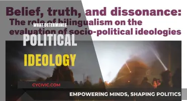 Unraveling the Roots: What Shapes Our Political Ideologies?