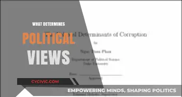 Unraveling the Complex Web: What Shapes Our Political Perspectives?