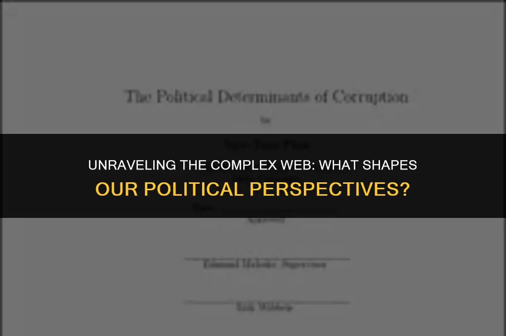 what determines political views