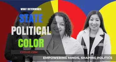 Decoding the Palette: Factors Influencing State Political Hues