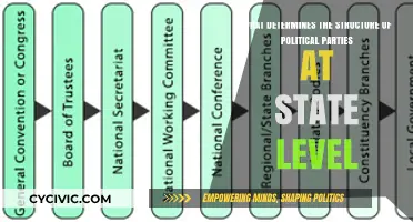 State-Level Political Parties: Key Factors Shaping Their Organizational Structure