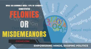 Understanding Factors Defining Felonies and Misdemeanors