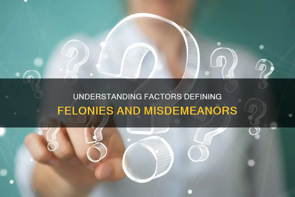 what determines what type of conduct constitutes felonies or misdemeanors