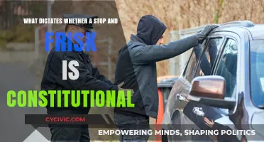 Understanding Stop and Frisk: Constitutional Rights