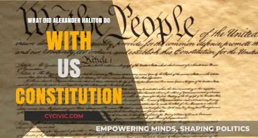 Alexander Hamilton's Impact on the US Constitution
