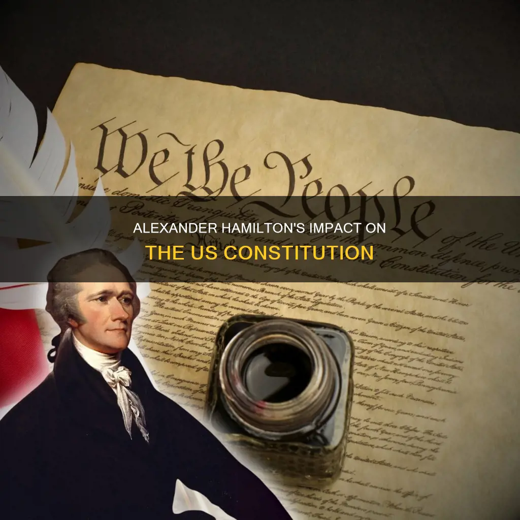 what did alexander haliton do with us constitution