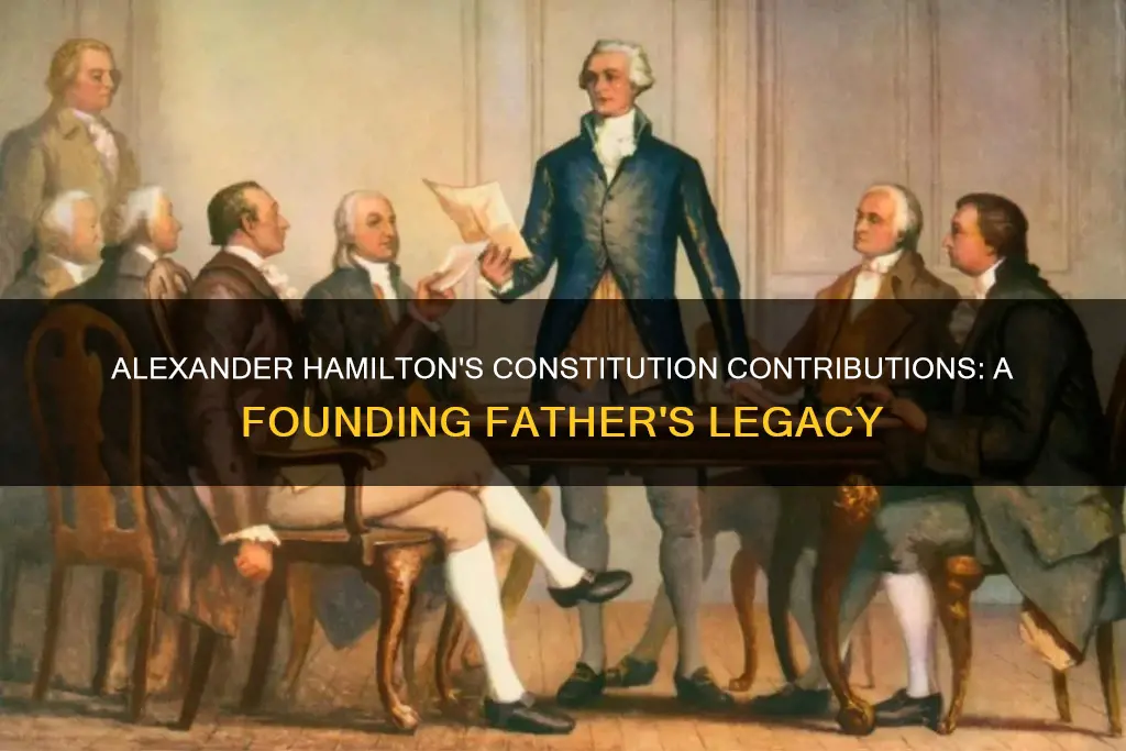 what did alexander hamilton contribute to the constitution