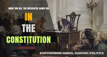 Constitution Consensus: What Delegates Agreed Upon