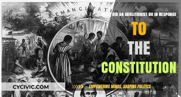 Abolitionists' Response to the Constitution