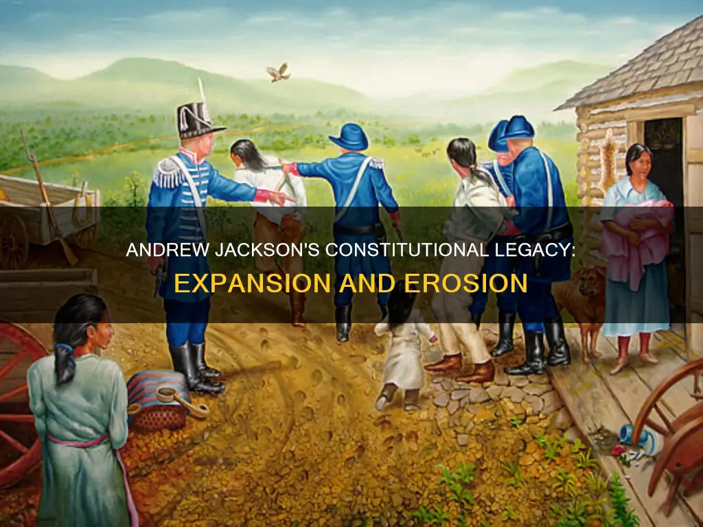 what did andrew jackson do to the constitution