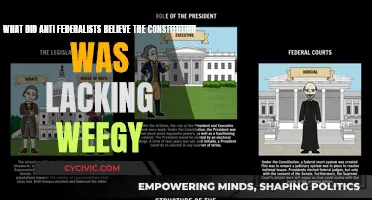 Federalists' Concerns: Constitution's Missing Pieces