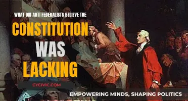 Anti-Federalists' Concerns: What Was Missing from the Constitution?