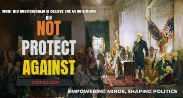 Antifederalists' Concerns: Unchecked Power and an Ineffective Constitution