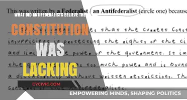 Antifederalists' Concerns: What Was Missing From the Constitution?