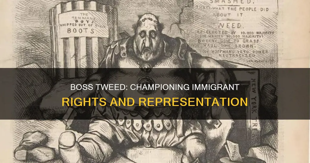 what did boss tweed do for his immigrant constitutes