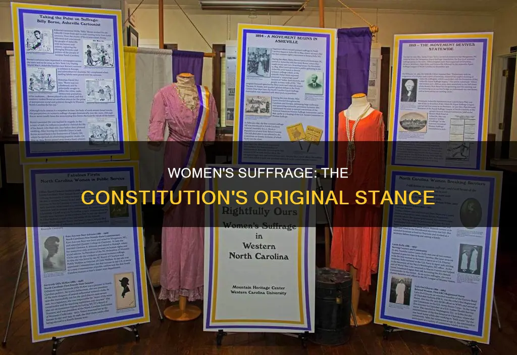 what did constitution say about womem voting vefore 19th amend