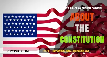 Colonial Constitution: Deciding the Nation's Fate