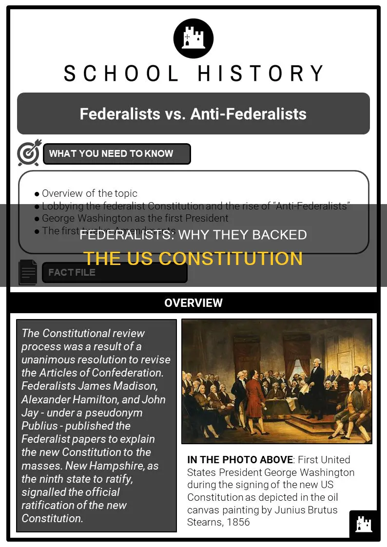 what did federalist suppoer us constitution