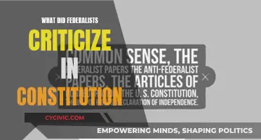 Federalists' Critique: Constitution's Flaws and Federalist Vision