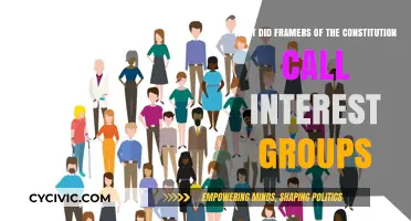 Founders' Interest Groups: A Historical Perspective