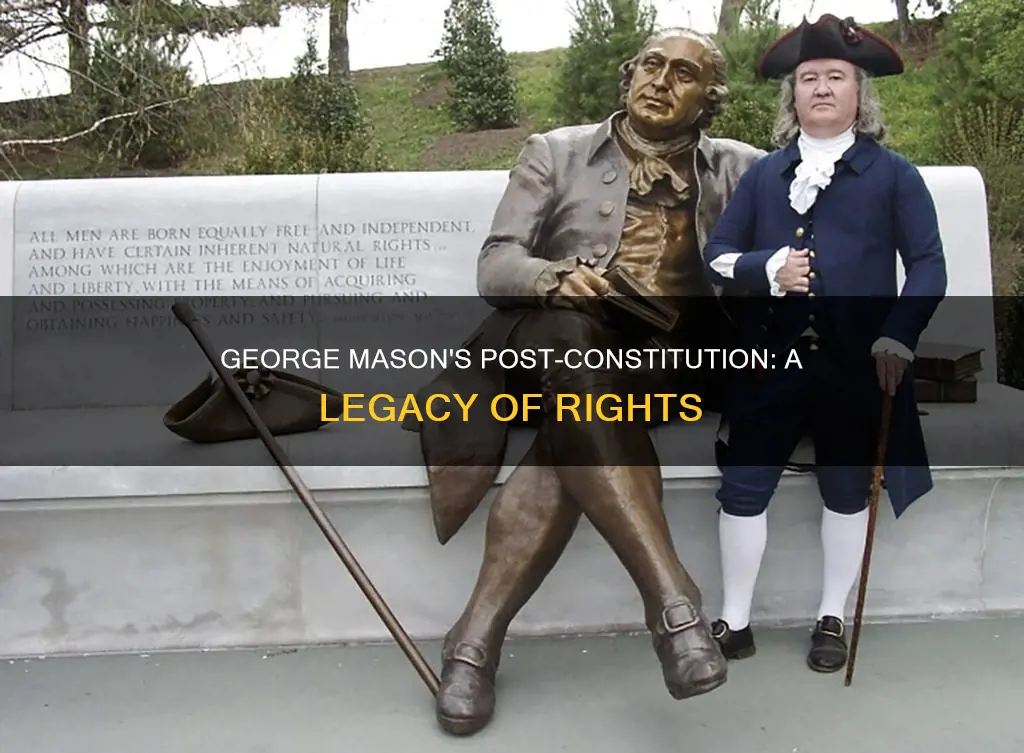 what did george mason do after the constitution
