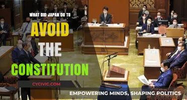 Japan's Constitution Evasion: Strategies and Implications