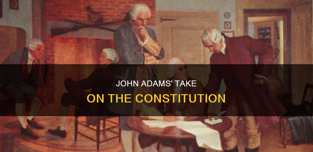 what did john adams think about the constitution