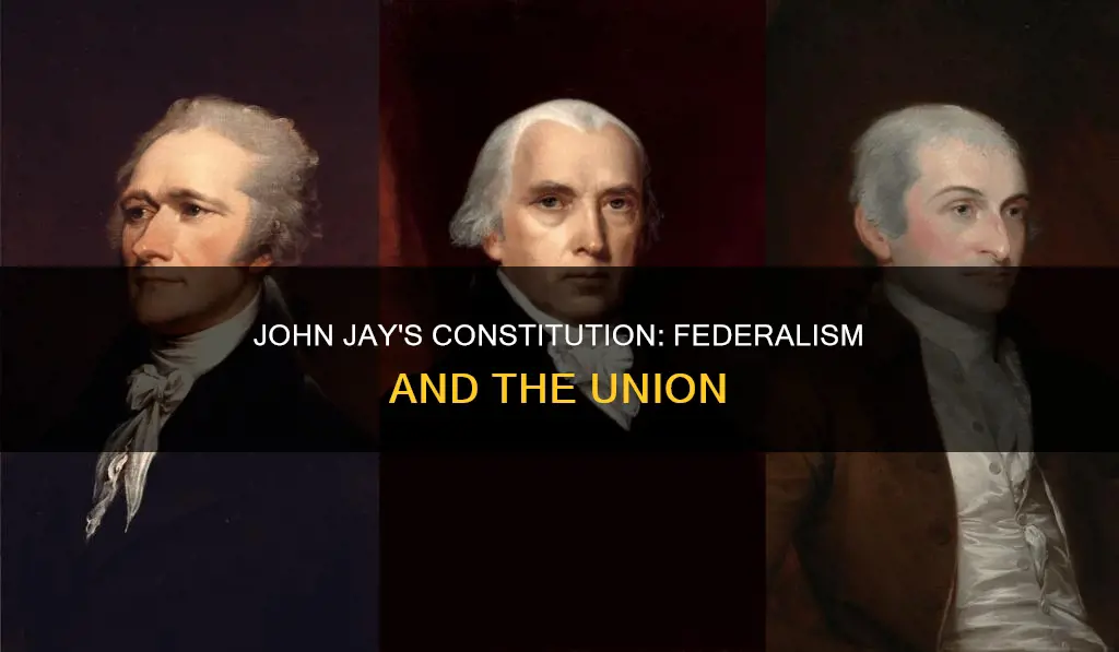 what did john jay argue about the constitution