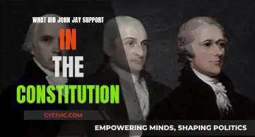 John Jay's Constitutional Beliefs: Federalism and Centralized Power
