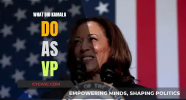 Kamala Harris' Achievements as Vice President
