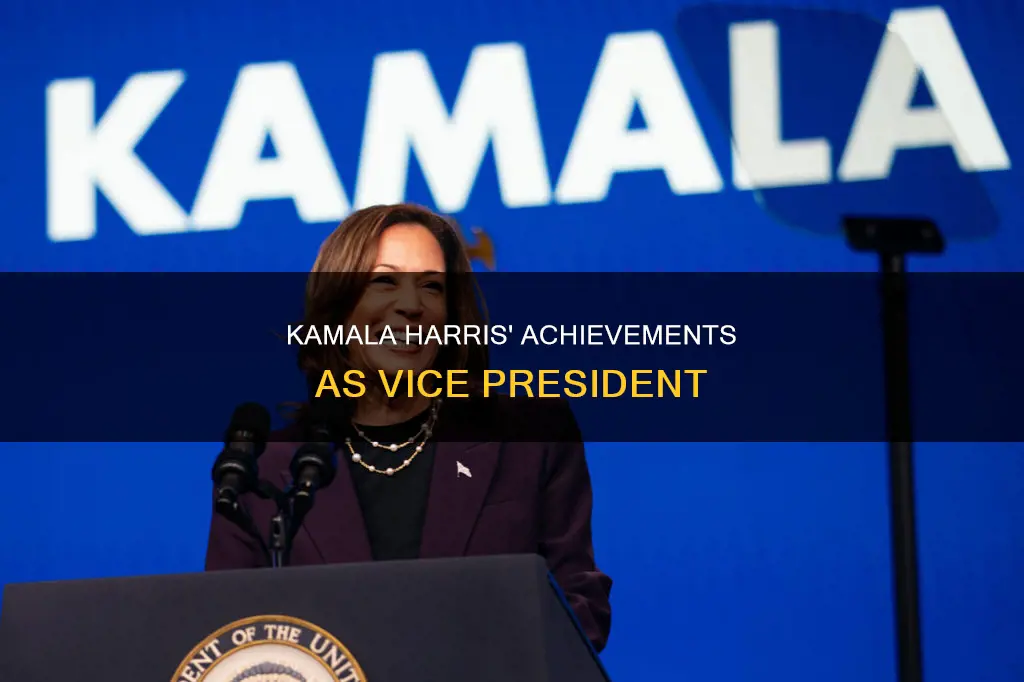 what did kamala do as vp