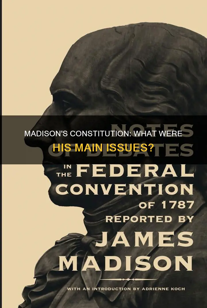 what did madison not like about the original constitution