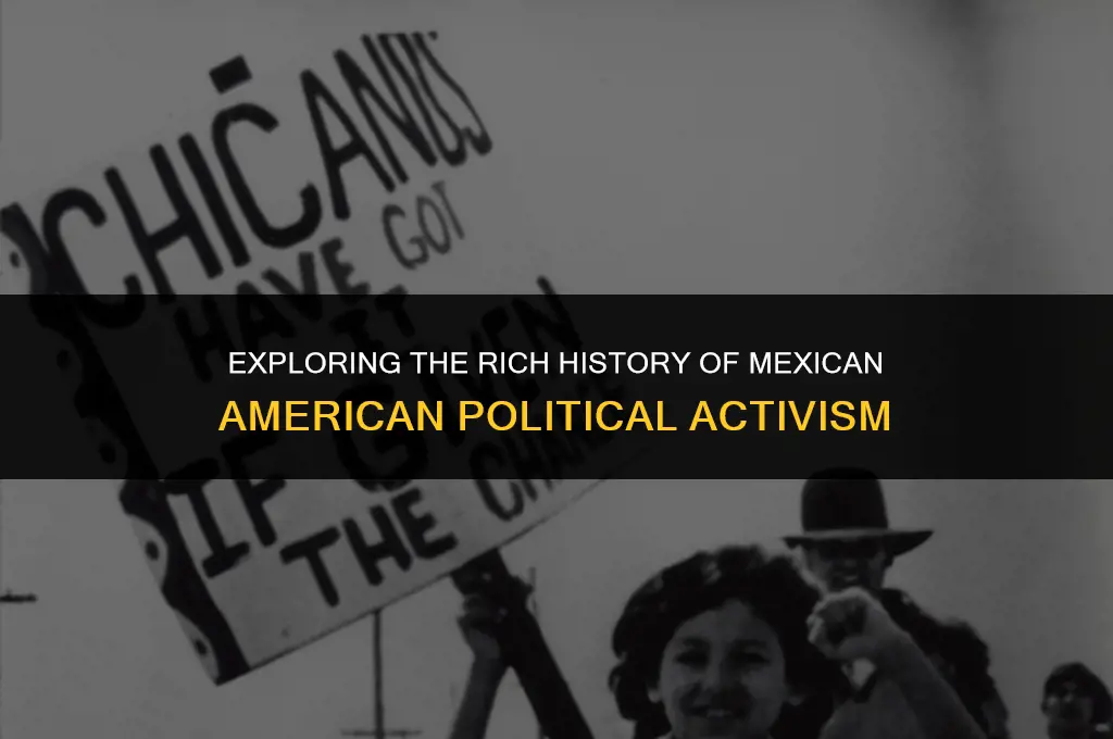 what did mexican americans political