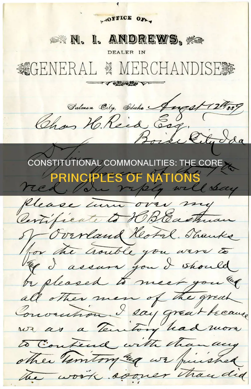 what did mot of the constitutions have in commo