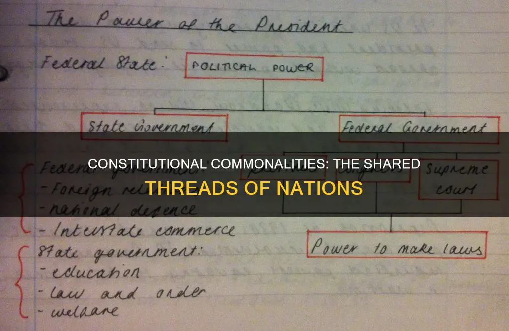 what did mot of the constitutions have in common