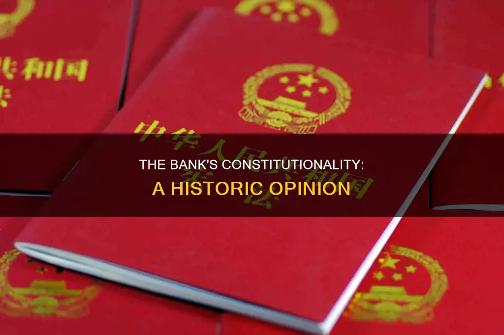 what did opinion on the constitutionality of the bank address