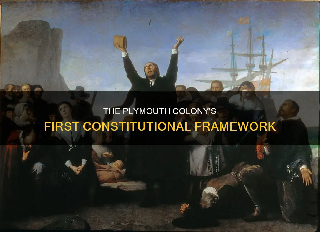 what did plymouth colony use for a constitution at first
