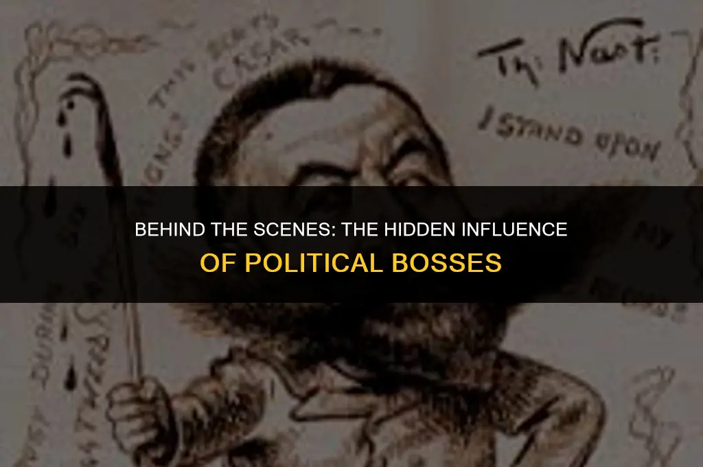 what did political bosses do