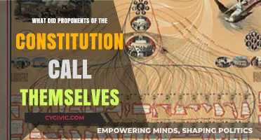 Federalists: The Constitution's Proponents and Their Legacy