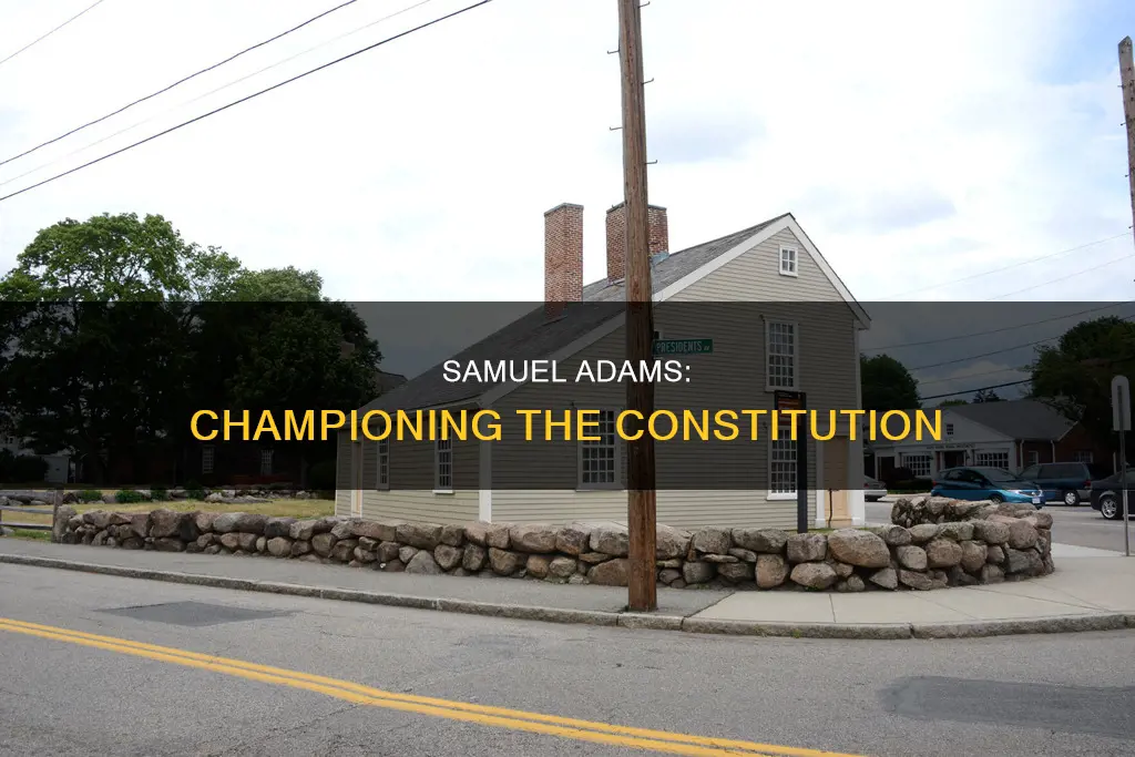 what did samuel adamms did for the constitution